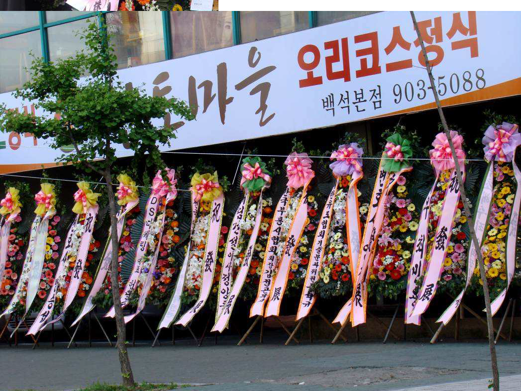 הפאזל הקוריאני | יעל שגיא | Explore korea | טיולים מאורגנים לדרום קוריאה