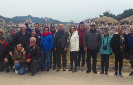 קבוצת מטיילי אקספלור קוריאה | מסע עומק לקוריאה אפריל 2019